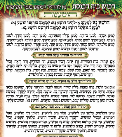 הושענות רכוש בית הכנסת - לפרסומת.png